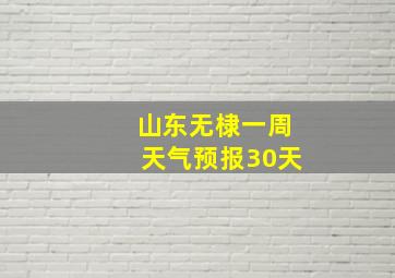 山东无棣一周天气预报30天