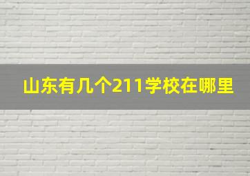 山东有几个211学校在哪里