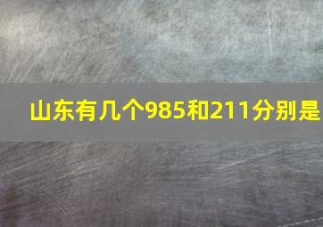 山东有几个985和211分别是