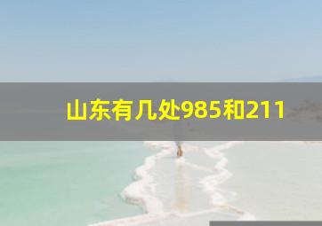 山东有几处985和211