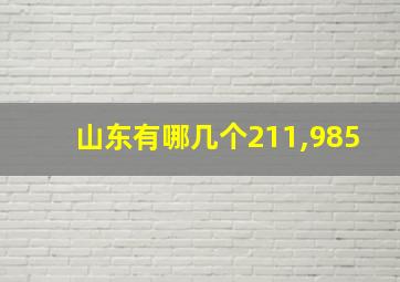 山东有哪几个211,985