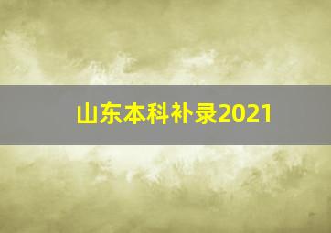 山东本科补录2021