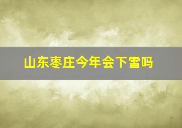 山东枣庄今年会下雪吗