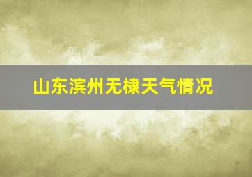 山东滨州无棣天气情况