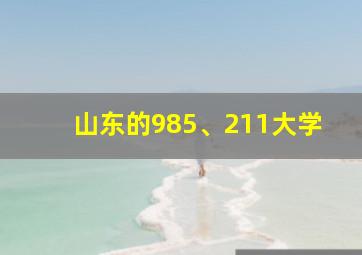 山东的985、211大学