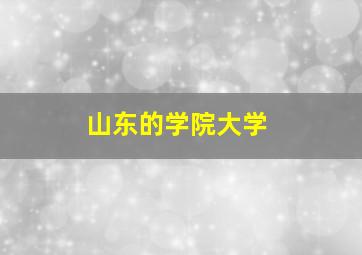 山东的学院大学