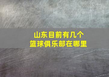 山东目前有几个篮球俱乐部在哪里