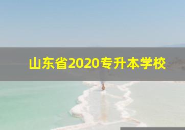 山东省2020专升本学校