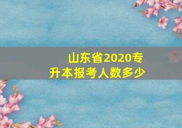 山东省2020专升本报考人数多少