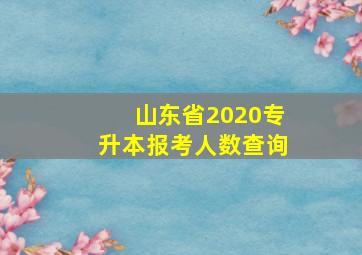 山东省2020专升本报考人数查询