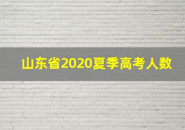 山东省2020夏季高考人数