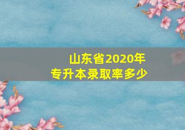 山东省2020年专升本录取率多少