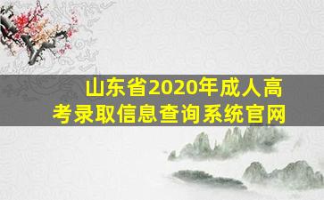 山东省2020年成人高考录取信息查询系统官网