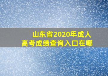 山东省2020年成人高考成绩查询入口在哪