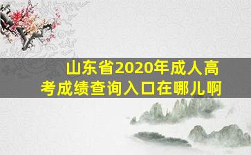 山东省2020年成人高考成绩查询入口在哪儿啊