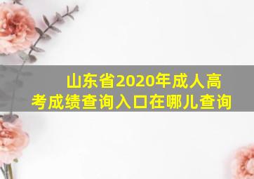 山东省2020年成人高考成绩查询入口在哪儿查询