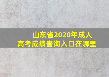 山东省2020年成人高考成绩查询入口在哪里