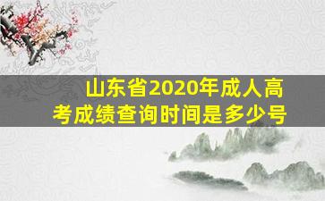 山东省2020年成人高考成绩查询时间是多少号