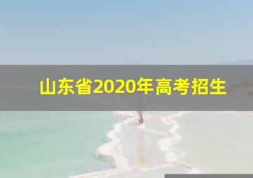 山东省2020年高考招生