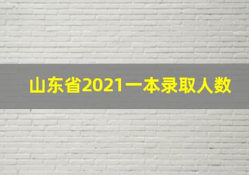 山东省2021一本录取人数