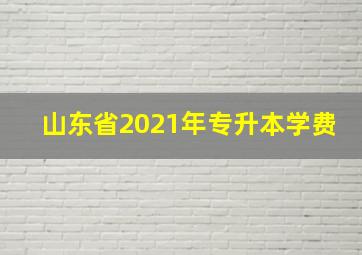 山东省2021年专升本学费