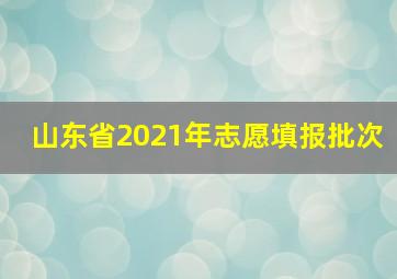 山东省2021年志愿填报批次