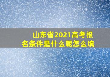 山东省2021高考报名条件是什么呢怎么填