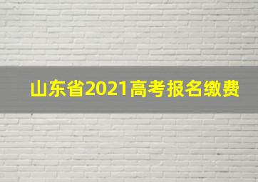 山东省2021高考报名缴费