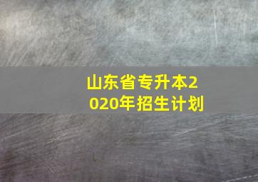 山东省专升本2020年招生计划