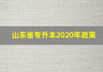 山东省专升本2020年政策