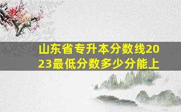 山东省专升本分数线2023最低分数多少分能上