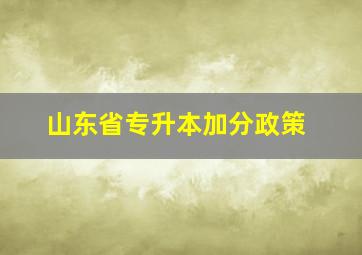 山东省专升本加分政策