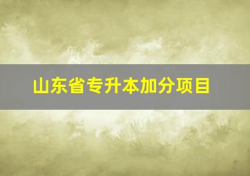 山东省专升本加分项目