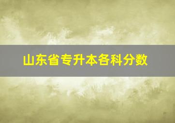 山东省专升本各科分数