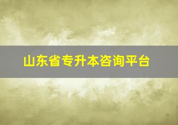 山东省专升本咨询平台