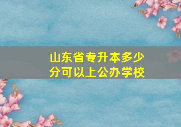 山东省专升本多少分可以上公办学校