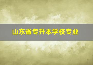 山东省专升本学校专业