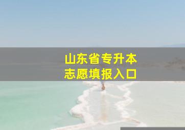 山东省专升本志愿填报入口