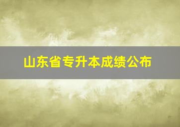 山东省专升本成绩公布