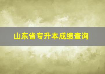 山东省专升本成绩查询