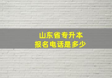 山东省专升本报名电话是多少