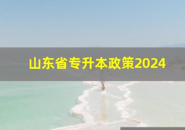 山东省专升本政策2024