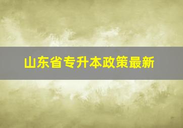 山东省专升本政策最新