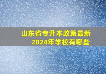 山东省专升本政策最新2024年学校有哪些