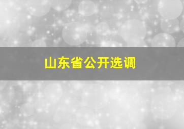 山东省公开选调