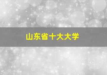 山东省十大大学