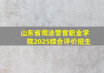 山东省司法警官职业学院2025综合评价招生