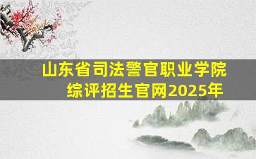 山东省司法警官职业学院综评招生官网2025年