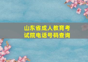 山东省成人教育考试院电话号码查询