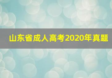 山东省成人高考2020年真题